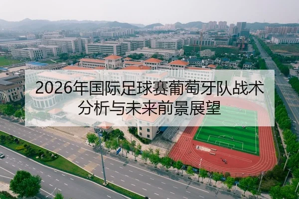 2026年国际足球赛葡萄牙队战术分析与未来前景展望